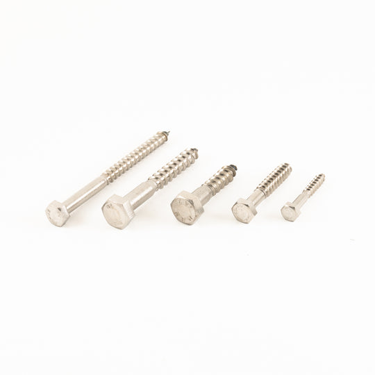 Coach Screw SS M8 x 100mm