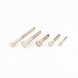 Coach Screw SS M8 x 75mm
