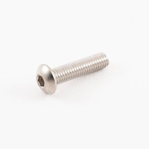Socket Screw SS M5 x 20mm