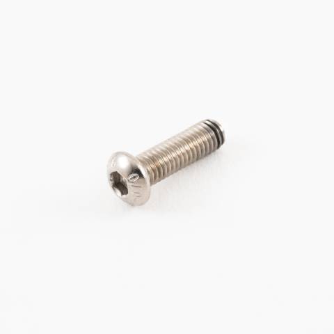 Socket Screw SS M6 x 20mm