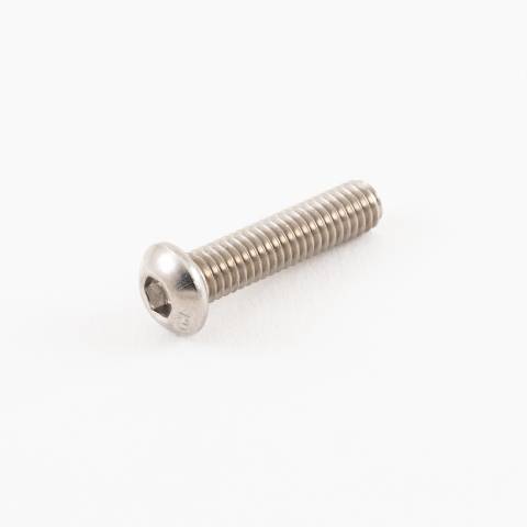 Socket Screw SS M6 x 25mm
