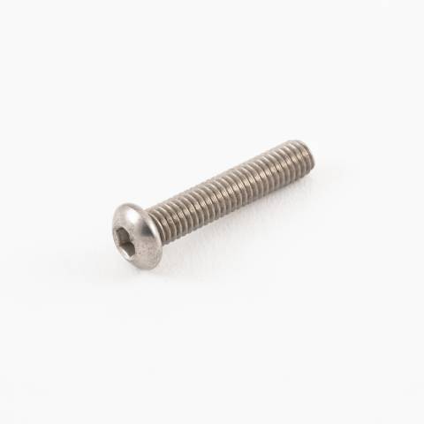 Socket Screw SS M6 x 30mm
